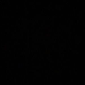 Meet your Posher, Daniela